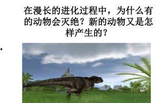 生物的起源和进化视频,一部生物进化史诗